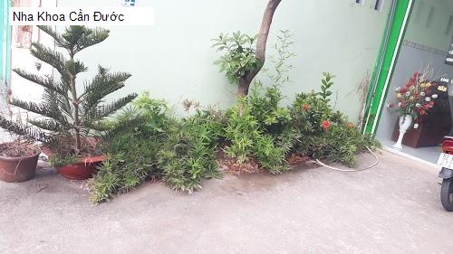 Hình ảnh Nha Khoa Cần Đước