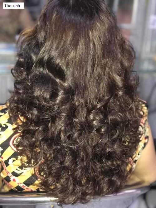 Hình ảnh Tóc xinh